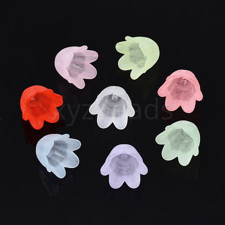 Transparent Acrylic Bead Caps FACR-N005-002-1