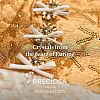 Preciosa® MAXIMA Crystal No Hotfix Flatback Stones Y-PRC-NSS10-70040-3