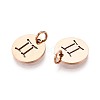 304 Stainless Steel Charms STAS-Q201-T445-3R-2