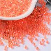 Glass Seed Beads SEED-S042-13A-06-1