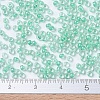 MIYUKI Round Rocailles Beads SEED-G007-RR0219-4