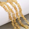 Natural Citrine Beads Strands G-O049-B-29A-2