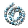 Natural Gemstone Beads Strands G-F730-02C-3