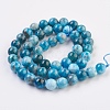 Natural Apatite Beads Strands G-F568-020-8mm-2