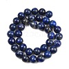 Natural Lapis Lazuli Beads Strands G-S333-10mm-013-5