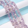 Natural Amethyst Chip Bead Strands G-M205-35-1-2