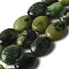 Natural Chrysoprase Beads Strands G-B078-F02-02-1