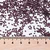 MIYUKI Round Rocailles Beads SEED-X0056-RR2402-4