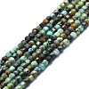 Natural African Turquoise(Jasper) Beads Strands G-P457-B01-43-1