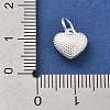 925 Sterling Silver Charms STER-S009-07A-S-3