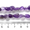 Natural Amethyst Beads Strands G-P497-01C-21-5