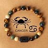 Twelve Constellations Natural Tiger Eye & Picture Jasper & Rhyolite Jasper Round & Column Beaded Stretch Bracelets for Women Men WG6FA5D-06-1