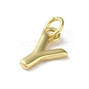 Rack Plating Brass Charms KK-P245-06G-Y-2