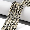 Natural Dalmatian Jasper Beads Strands G-K343-C36-01-1