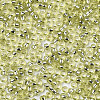 Glass Seed Beads X-SEED-S042-04A-02-3