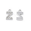 304 Stainless Steel Charms STAS-N095-137Z-2