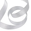 Glitter Metallic Ribbon ORIB-TA0001-02S-6