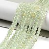 Natural Prehnite Beads Strands G-G161-A13-03-2