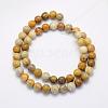 Natural Fossil Coral Beads Strands G-G697-F01-6mm-2