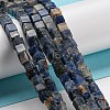 Natural Sodalite Beads Strands G-C084-E06-02-2