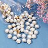 SUPERFINDINGS 80Pcs 2 Colors Sew on Rhinestone RESI-FH0001-46-4