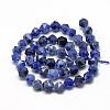 Natural Sodalite Beads Strands G-R448-8mm-09-2