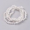 Natural Quartz Crystal Beads Strands G-G782-22-2