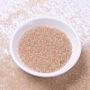 MIYUKI Delica Beads SEED-JP0008-DB1410-2