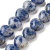 Natural Blue Spot Jasper Beads Strands G-B022-26C-2