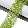 Natural Peridot Beads Stands G-H042-B31-01-2