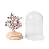 Natural Fluorite Chips Money Tree in Dome Glass Bell Jars with Wood Base Display Decorations DJEW-B007-04D-2