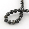 Natural Labradorite Round Bead Strands G-R342-8mm-09-3