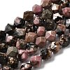 Natural Rhodonite Beads Strands G-Z119-A19-02-3