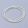 1 Strand Electroplate Glass Beads Strands X-EGLA-J013-4X6mm-F03-5