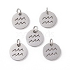 Non-Tarnish 304 Stainless Steel Charms STAS-Q201-T445-11S-2