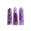 Natural Amethyst Display Decorations PW-WG8F58A-01-1