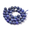 Natural Lapis Lazuli Round Bead Strands G-E262-01-10mm-9