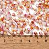 Baking Painted Glass Seed Beads SEED-C004-03I-4