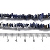 Natural Sodalite Chip Beaded Necklaces for Men Women NJEW-G159-01F-5