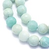 Natural Amazonite Beads Strands G-K310-A02-10mm-3