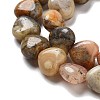 Natural Crazy Agate Beads Strands G-R190-10mm-39-4