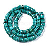 Natural Freshwater Shell Beads Strands SHEL-Q024-001D-2