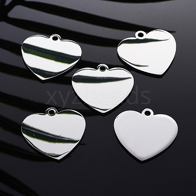 Tarnish Resistant 304 Stainless Steel Pendants LS-STAS-I140-10B-S-1