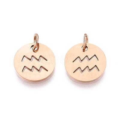 304 Stainless Steel Charms STAS-Q201-T445-11R-1