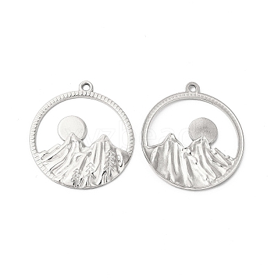 Non-Tarnish 304 Stainless Steel Pendants STAS-L268-010P-1