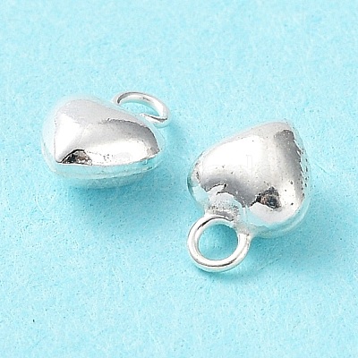925 Sterling Silver Charms STER-H106-01D-S-1