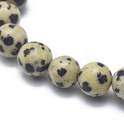Natural Dalmatian Jasper Bead Stretch Bracelets X-BJEW-K212-B-014-1