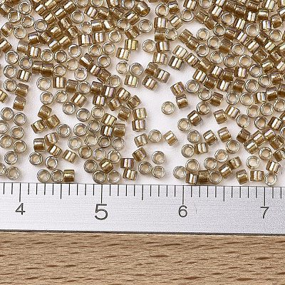 MIYUKI Delica Beads X-SEED-J020-DB2396-1