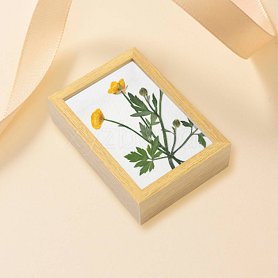 MDF(Middle Density Fibreboard) Photo Frame DJEW-GF0001-22A-1