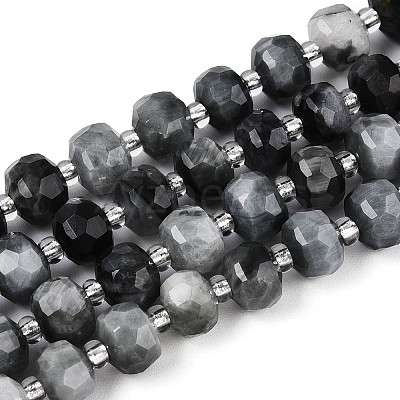 Natural Eagle Eye Stone Beads Strands G-N327-08A-02-1